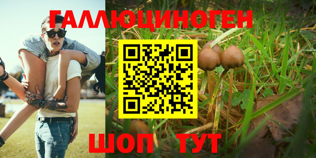 Сухой Лог  Галлюциногенные грибы MAGIC MUSHROOMS  Вход с VPN 