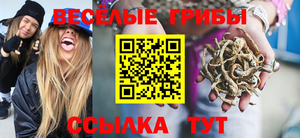 Галлюциногенные грибы Psilocybe Сухой Лог