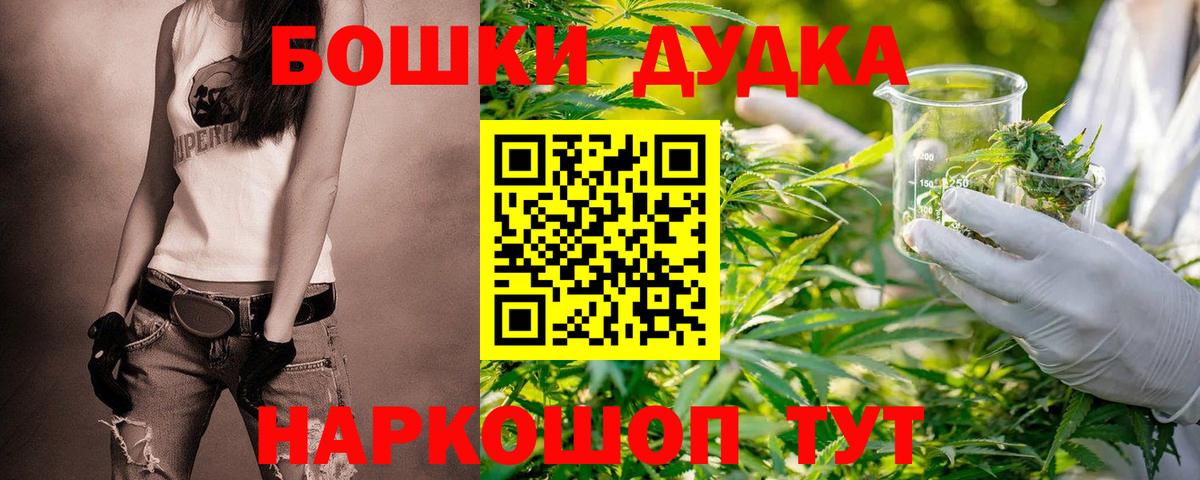 Канабис сатива  Каннабис план  Сухой Лог  Бошки марихуана планчик  Вход с VPN 